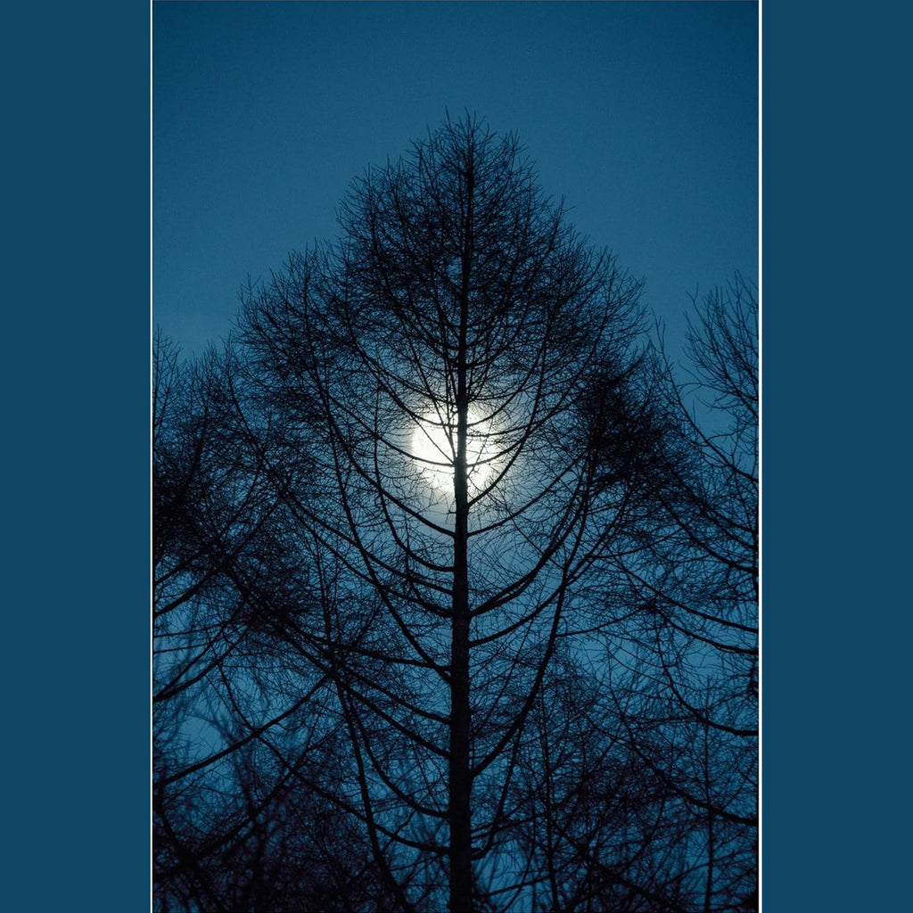 Sigma 16-300mm F3.5-6.7 DC OS Contemporary