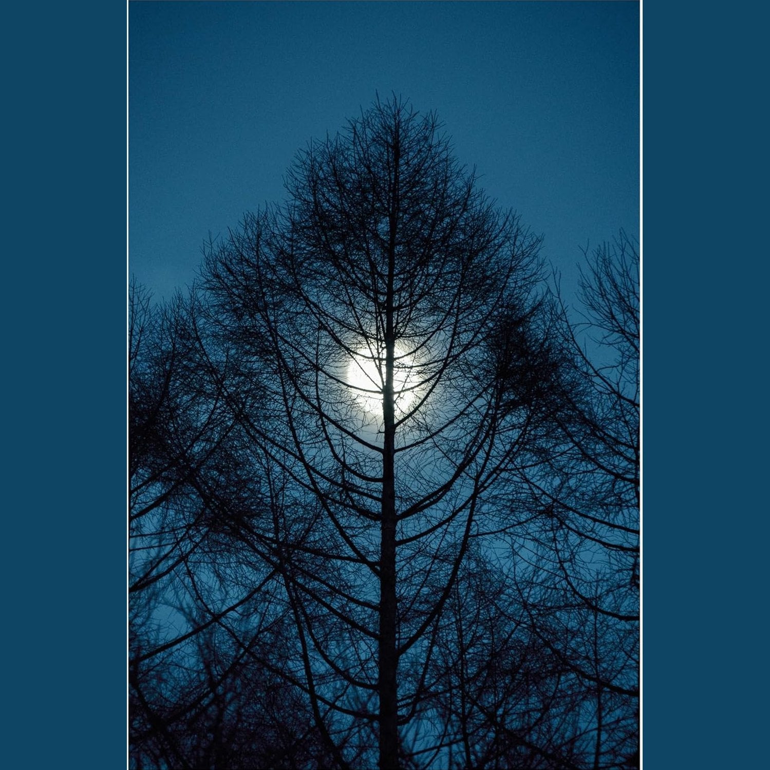 Sigma 16-300mm F3.5-6.7 DC OS Contemporary